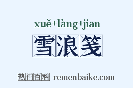 雪浪笺是什么意思的图片